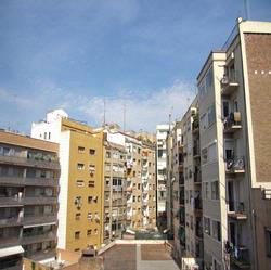 IMG_4323.jpg