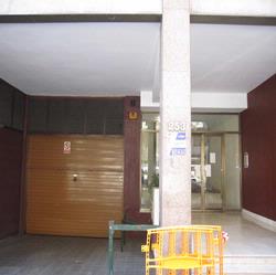IMG_6967.jpg