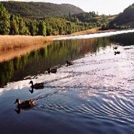 Estany de Moncortes.- Baix Pallars