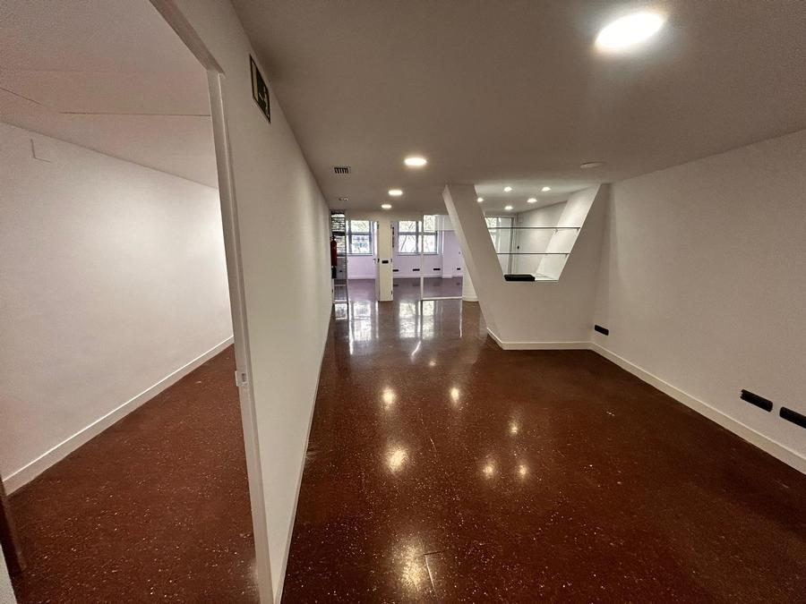 SANTS